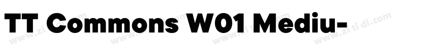 TT Commons W01 Mediu字体转换